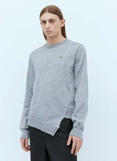 COMME des GARCONS  |Crew Neck Wool Street Style Long Sleeves Logo Designers