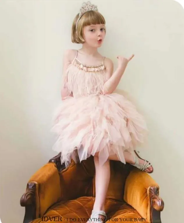 Little Princess Feathers And Ruffles Dress