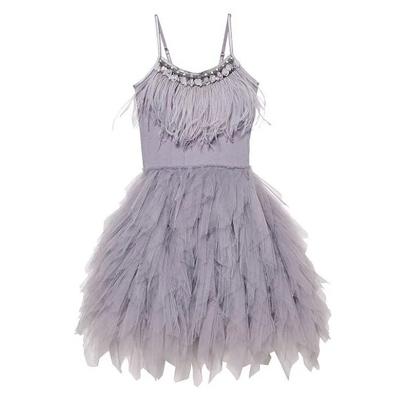 Little Princess Feathers And Ruffles Dress