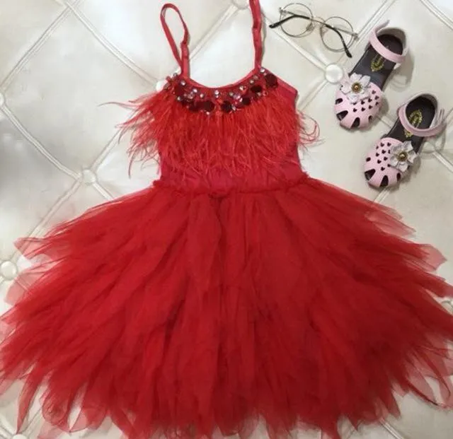 Little Princess Feathers And Ruffles Dress