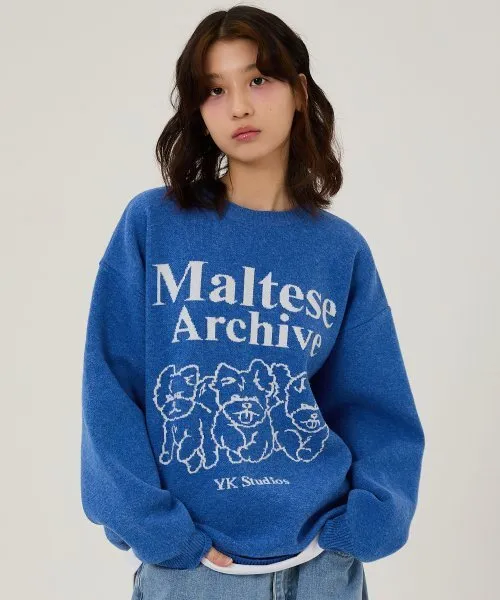 Wai Kei  |Unisex Street Style Long Sleeves Logo Sweaters